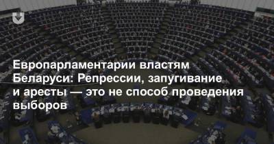 Европарламентарии властям Беларуси: Репрессии, запугивание и аресты — это не способ проведения выборов