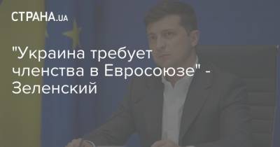 "Украина требует членства в Евросоюзе" - Зеленский
