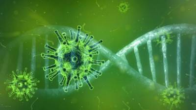 Китай обнародовал геном найденного на рынке в Пекине коронавируса