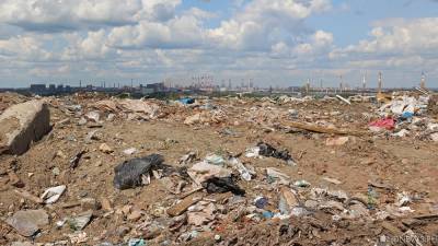В России ужесточат контроль за утилизацией опасных отходов