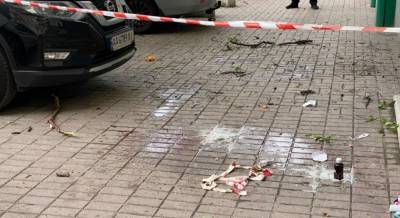 В Киеве 3-летний ребенок и его мать выпали из окна (фото, видео)
