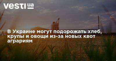 В Украине могут подорожать хлеб, крупы и овощи из-за новых квот аграриям