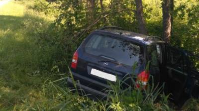 В Чашникском районе легковушка врезалась в дерево: пассажирка погибла на месте