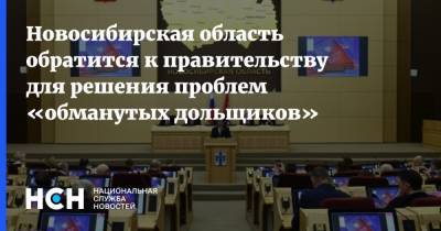 Новосибирская область обратится к правительству для решения проблем «обманутых дольщиков»