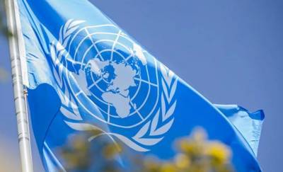 Правозащитники просят ООН вмешаться в ситуацию в Беларуси