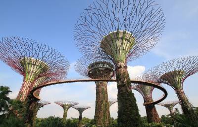 В Сингапуре открываются магазины и парки