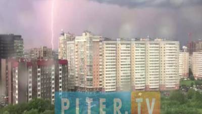 Ураган в Петербурге 18 июня унес жизни двух людей