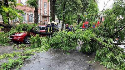 Двое погибли и трое пострадали во время непогоды в Петербурге