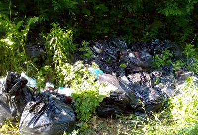 В Смоленске активисты вычистили от мусора часть улицы Нахимова