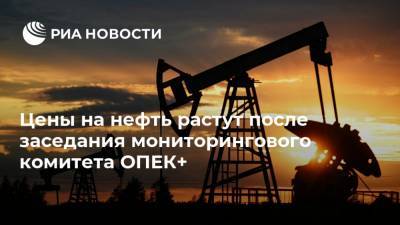 Цены на нефть растут после заседания мониторингового комитета ОПЕК+