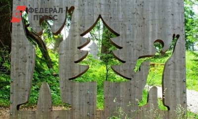 План по восстановлению лесов России выполнен на 72 процента