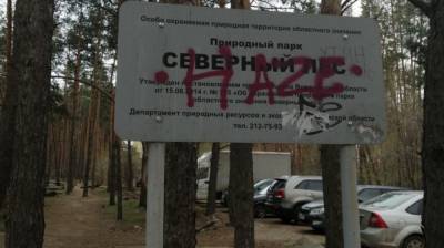Благоустройство «Северного леса» в Воронеже начнут в августе