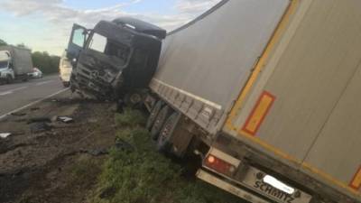 Водитель погиб в ДТП с грузовиком в Волгоградской области