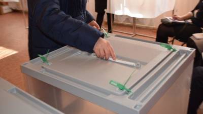 Песков оценил безопасность голосования по поправкам