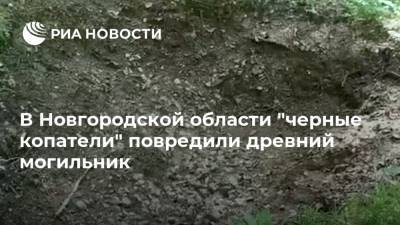 В Новгородской области "черные копатели" повредили древний могильник