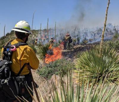 В США бушуют лесные пожары, эвакуированы тысячи людей