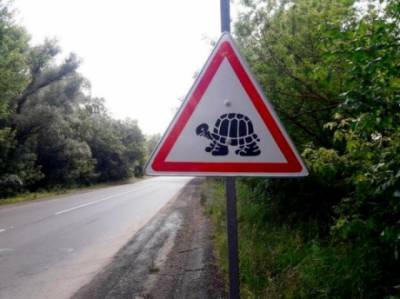В ПДД таких точно нет: в Украине появились необычные дорожные знаки (ФОТО)