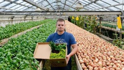 Гатчинская ферма вышла на московский рынок доставки овощей и зелени