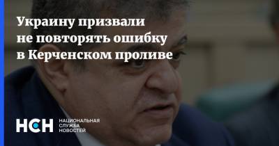 Украину призвали не повторять ошибку в Керченском проливе