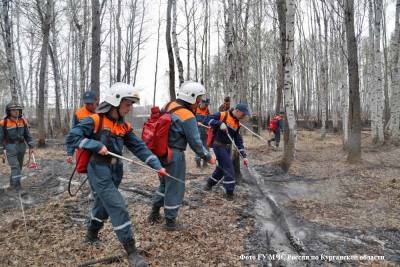 В Курганской области виновнику лесного пожара назначен штраф в 5 000 рублей