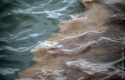 Росрыболовство оценило в 10 лет срок восстановления водоемов после аварии в Норильске