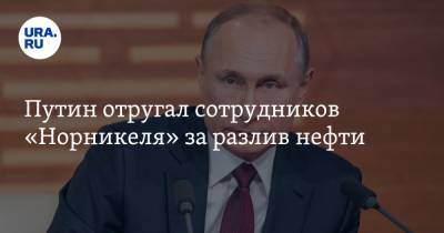Путин отругал сотрудников «Норникеля» за разлив нефти. «Где они были-то?»
