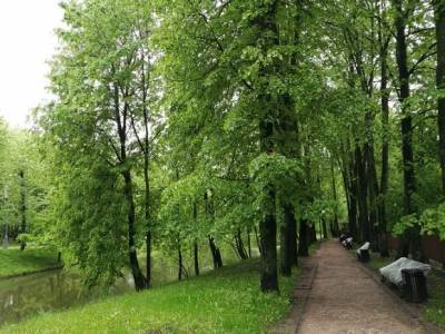 Эксперт назвал абсурдом продолжающийся запрет на доступ в парки Петербурга