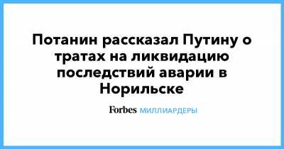 Потанин рассказал Путину о тратах на ликвидацию последствий аварии в Норильске