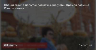 Обвиняемый в попытке поджечь сено у стен Кремля получил 13 лет колонии