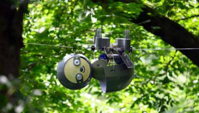 Робот-ленивец на солнечных батареях сможет годами наблюдать за дикой природой