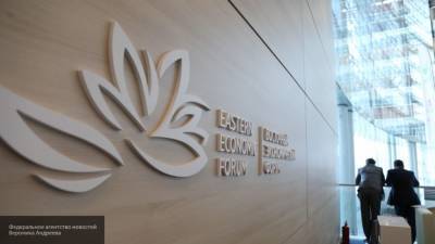 Росконгресс объявил об отмене Восточного экономического форума в 2020 году
