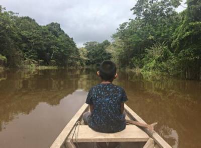 В Амазонии найдены темные земли, в которые люди вносили удобрения 5000 лет назад