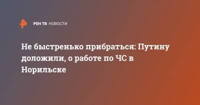 Не быстренько прибраться: Путину доложили, о работе по ЧС в Норильске