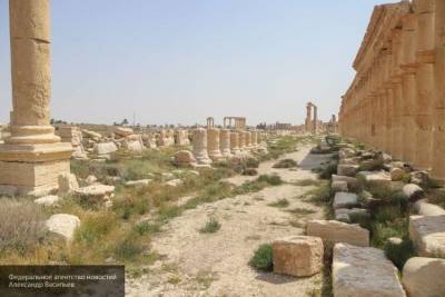 Асад намерен вновь сделать из Пальмиры центр сирийского туризма