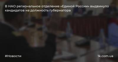 В НАО региональное отделение «Единой России» выдвинуло кандидатов на должность губернатора