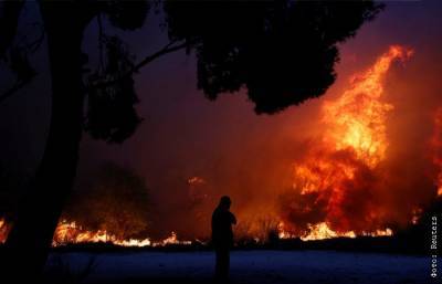 Сильный лесной пожар разбушевался близ Афин