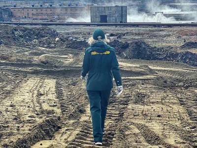 WWF призвала Потанина взять на себя ответственность за экологическую катастрофу в Норильске