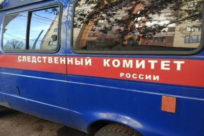 В Алтайском крае СКР завел дело на бабушку, запиравшую внука в погребе