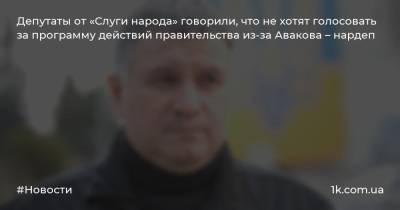 Депутаты от «Слуги народа» говорили, что не хотят голосовать за программу действий правительства из-за Авакова – нардеп