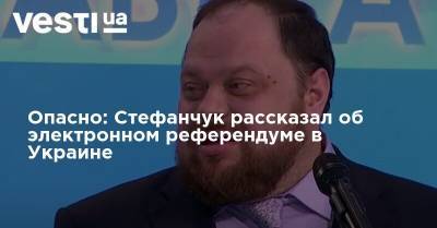 Опасно: Стефанчук рассказал об электронном референдуме в Украине
