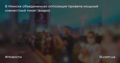 В Минске объединенная оппозиция провела мощный совместный пикет (видео)