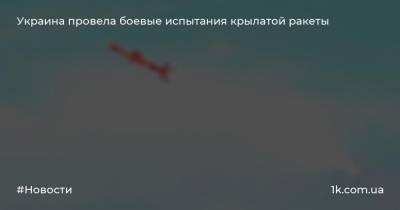 Украина провела боевые испытания крылатой ракеты