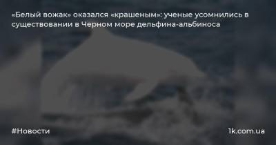 «Белый вожак» оказался «крашеным»: ученые усомнились в существовании в Черном море дельфина-альбиноса