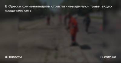 В Одессе коммунальщики стригли «невидимую» траву: видео озадачило сеть