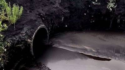 В Карагандинской области проверят предприятие из-за чёрной воды в реке