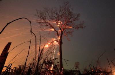 В России за сутки потушили 39 лесных пожаров