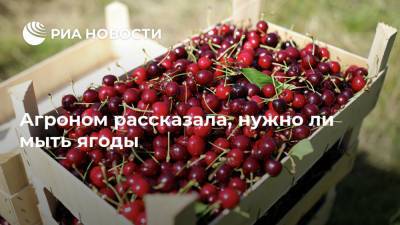Елизавета Тихонова - Агроном рассказала, нужно ли мыть ягоды - ria.ru - Москва