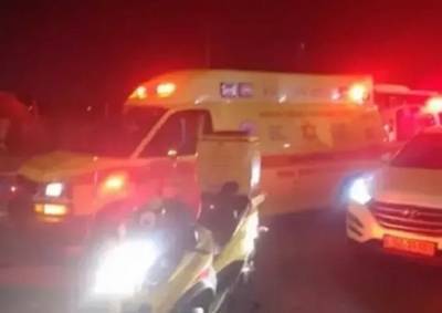 ДТП в Негеве: молодая водительница получила тяжелое ранение при столкновении с коровой