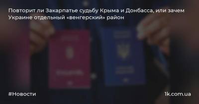 Повторит ли Закарпатье судьбу Крыма и Донбасса, или зачем Украине отдельный «венгерский» район