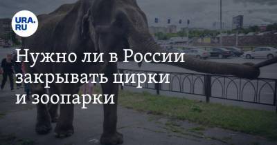 Нужно ли в России закрывать цирки и зоопарки